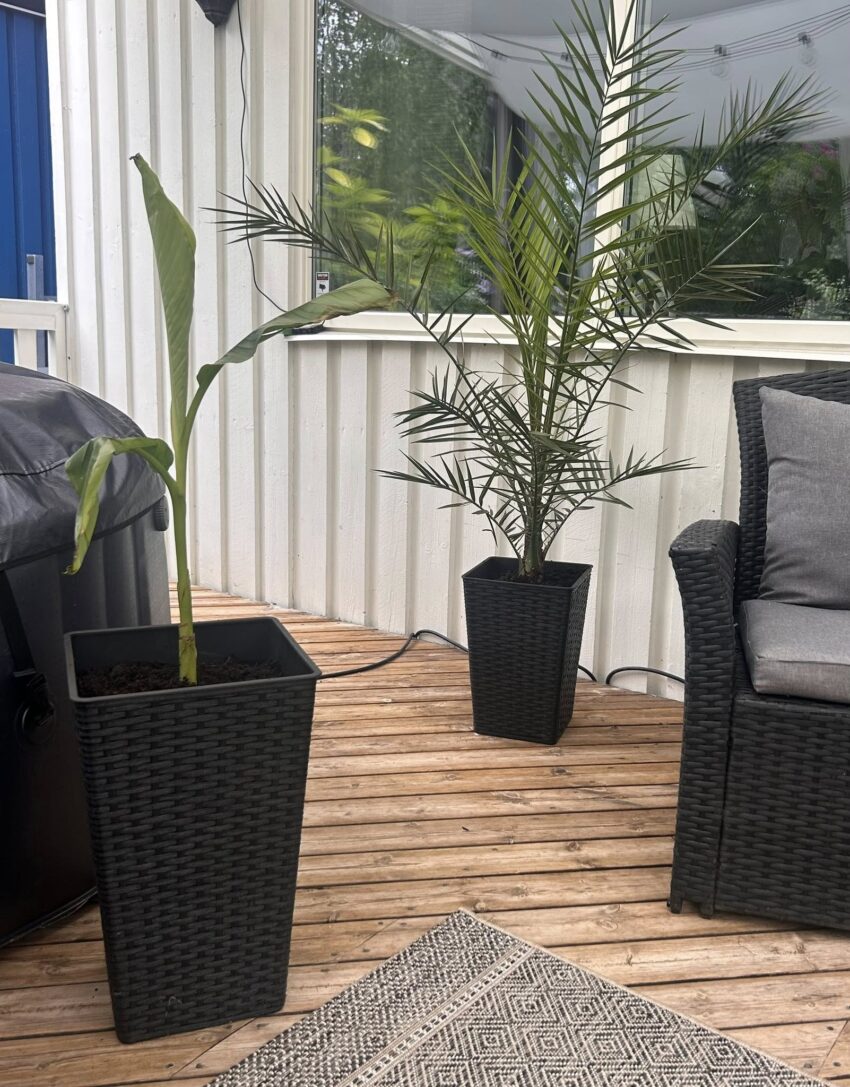 Affiliate för städbolag